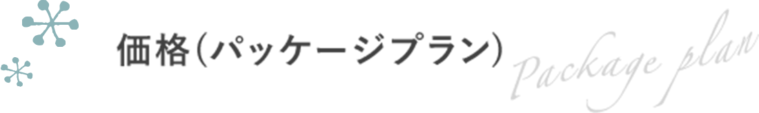 価格(パッケージプラン)